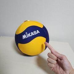 【クッション】バレボール風の画像