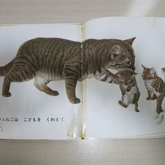 差し上げます　子供用　絵本の画像