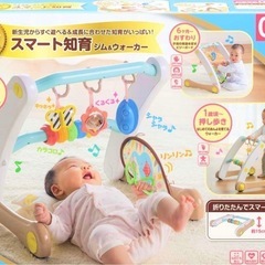 ピープル うちの赤ちゃん世界一 (R) スマート知育ジム&ウォーカーの画像