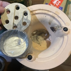 七輪 16センチの画像