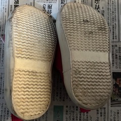 15センチのキッズシューズの画像