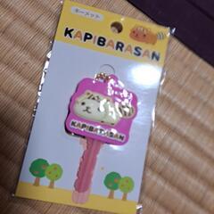 キーメット　カピバラさん