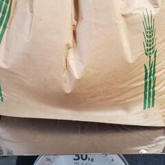 R5　大分県産　ヒノヒカリ　玄米15KG　直接取引