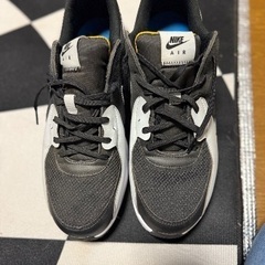 ナイキ29.0かと…