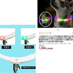わんちゃん/LED光る首輪（2度使用）の画像