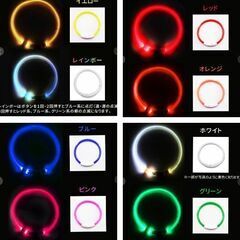 わんちゃん/LED光る首輪（2度使用）の画像
