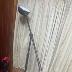 無料🆓(💡無しです)の画像