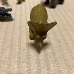 サファリバケツ　の画像