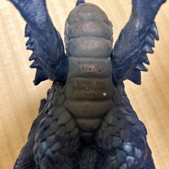 ミズノエノリュウ？の画像