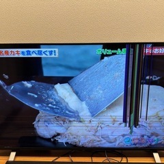 REGZA 50型 ジャンク品