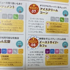 東京ディズニーランド&シーお得技ベストセレクション　得する裏技640の画像