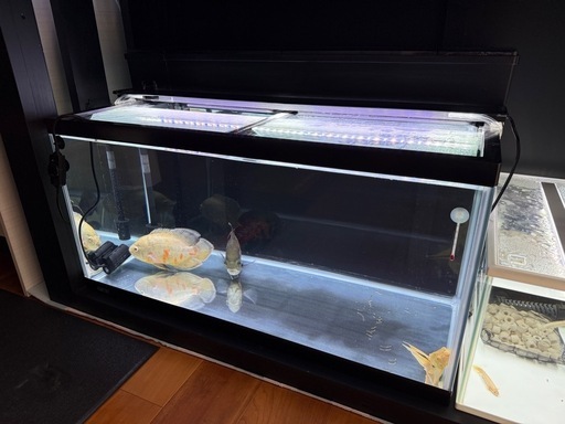 水槽　美品　上部濾過　LEDライト　ガラス蓋セット　900×450×450