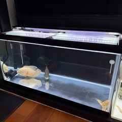 水槽　美品　上部濾過　LEDライト　ガラス蓋セット　900×450×450 の画像