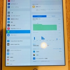 iPad mini3