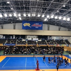 アローズ滋賀♪応援アロとも募集 - スポーツ