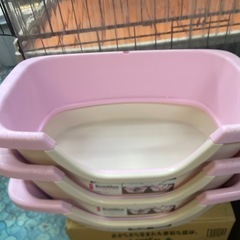 猫トイレの画像