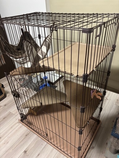 猫　ゲージ　　