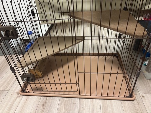 猫　ゲージ　　