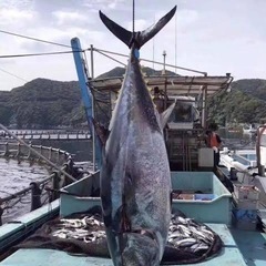 🐟マグロ漁で荒稼ぎ💴！限定10名！外国人可！