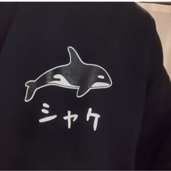バンドメンバー　ギター募集