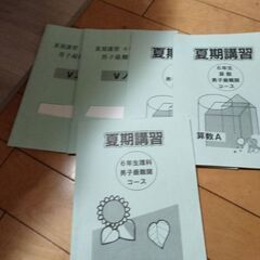 浜学園　男子最難関夏期講習テキスト