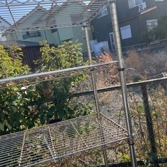 スチールラック91※45※188 引き取りのみ 岸和田市の画像