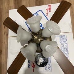 シーリングファン照明器具