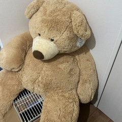 BIG！！ 特大くまさん