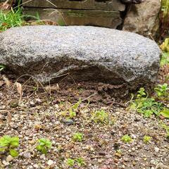 ★ 飛び石(ストップストーン)・踏石・庭石・ 景石 ・飾り石　２組１対
の画像