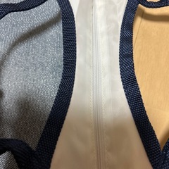 ピーターラビットのバッグの画像