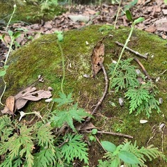 人にはまだ希望がある！