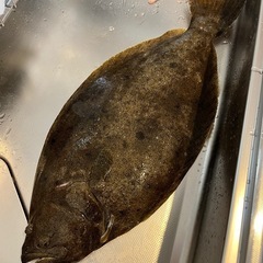 一緒に海釣りしませんか(^^) − 三重県