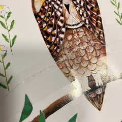 幼児絵本　せなけいこ他の画像