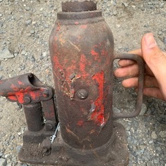 名前は分かりません