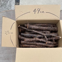 【値下げしました】サクラの薪に1️⃣¥400の画像