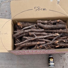 ｛値下げしました】サクラの薪に2️⃣¥600の画像