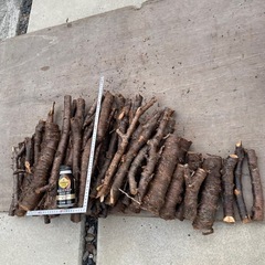 ｛値下げしました】サクラの薪に2️⃣¥600の画像