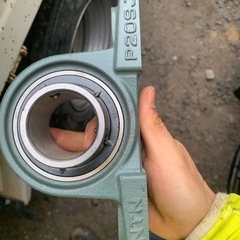 名前分かりません