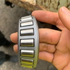 名前分かりませんの画像