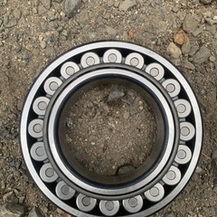 名前分かりませんの画像