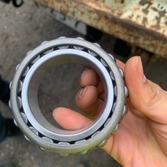 名前分かりませんの画像