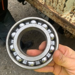 名前分かりません