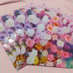 ※3月末迄 蜷川実花 ガトーフェスタハラダ コラボ 空缶 ＆紙袋（１個）の画像