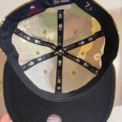 🐬ニューエラーの画像