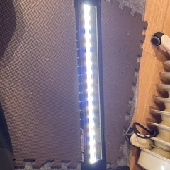 60センチ用水槽ライト　ニッソーLEDライナーブラック
の画像