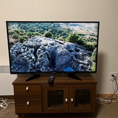 テレビ Panasonic 43インチ 4k対応 ipsパネル　テレビ台付き