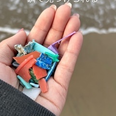 砂浜の ゴミ拾い 仲間募集！！ - 鳥取市