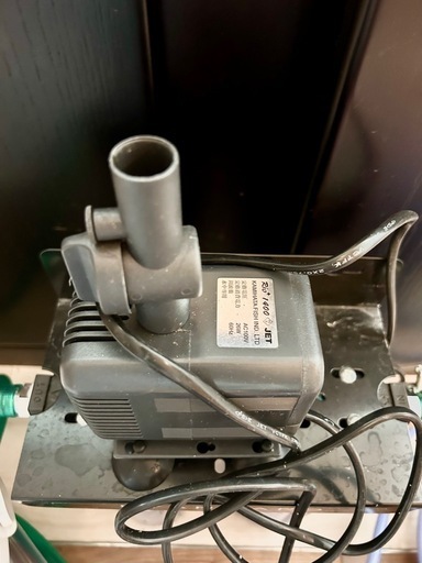 900オーバーフロー水槽