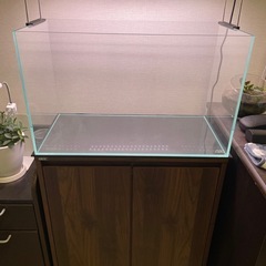 ADA 60cm規格水槽&GEX水槽台セット