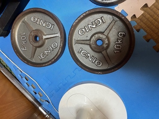 イグニオプレート10キロ✖️2